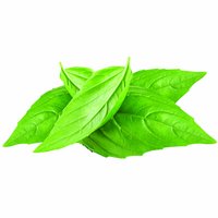 Local Basil Herbs, 1.5 Ounce