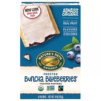 Natures Path Organic Toaster Pastries, Frosted Buncha Blueberries, 11 Ounce