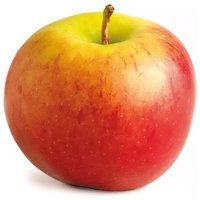 Envy Apples, 3 Pound