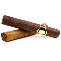 Partagas 10 Dr7.5X49, 1 Each