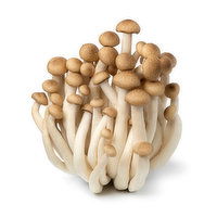 Mushroom, Brown Beech, 150 Gram