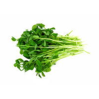 Micro Pea Dun Shoots, 3.5 Ounce