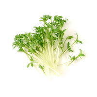 Micro Watercress, 16 Ounce
