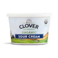 Clover Organic Sour Cream, 16 Ounce