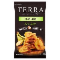 Terra Plantains W/ Sea Salt, 5 Ounce