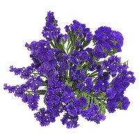 Statice 7-stem, 1 Each