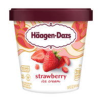 Haagen-Dazs Strawberry Ice Cream, 14 Ounce