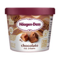 Haagen-Dazs Ice Cream, Chocolate, 3.6 Ounce