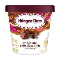 Haagen-Dazs Ice Cream, Chocolate Chip, 14 Ounce