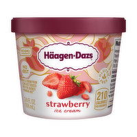 Haagen-Dazs Ice Cream, Strawberry, 3.6 Ounce