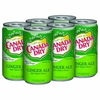 Canada Dry Ginger Ale Mini, Cans (Pack of 6), 45 Ounce