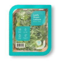 Sensei Farms Leafy Green Lettuce, Local, 4 Ounce