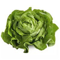 Waipoligreens Butter Lettuce, 1 Each