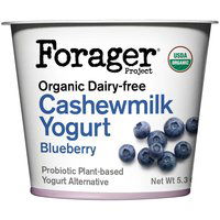 Forager Project Organic Blueberry Probiotic Cashewmilk Dairy Free Yogurt, 5.3 Ounce