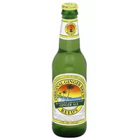 Reed's Original Ginger Brew, Ginger Ale, 12 Ounce