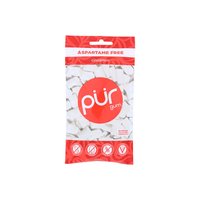 Pur Gum Cinnamon, 2.72 Ounce