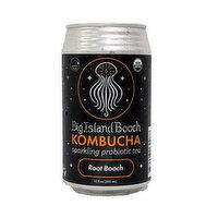 Big Island Booch Root Booch Can, 12 Ounce