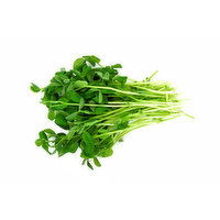 Green Pea Shoots, 2 Ounce