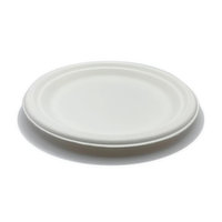 Abide Compostable Lunch Plate, 20 Each