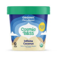 Cosmic Bliss Non-Dairy Ice Cream, Infinite Coconut, 14 Ounce