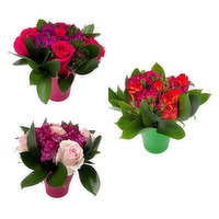 Mini Dream Rose Arrangement, 1 Each