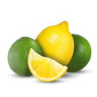 Lemon/Lime Local Mesh Bag 1#, 1 Pound