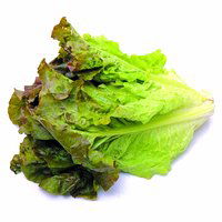 Lettuce Mizuna Mix, Local, 1 Each