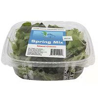 Local Spring Mix Lettuce, 1 Each