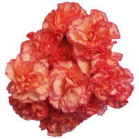 Baby Blooms Mini Carnations, 7-Stems, 1 Each