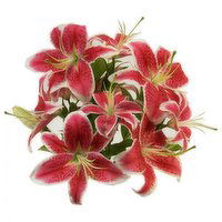 Lilies Assorted 3-Stem, 1 Each