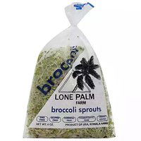 Lone Palm Local Broccoli Sprouts, 2 Ounce