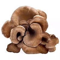 Organic Maitake Mushrooms, 3.5 Ounce