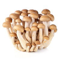 Organic Shimeji Mushrooms, 3.5 Ounce