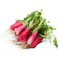 Local French Breakfast Radish, 5 Ounce