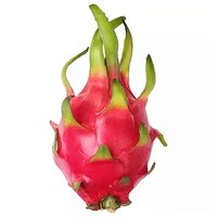 Organic Dragon Fruit, Local, 0.66 Pound