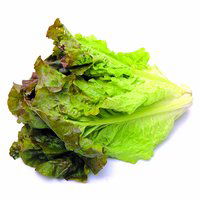 Organic Red Leaf Lettuce, 1 Each