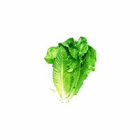 Organic Romaine Lettuce, 1 Pound