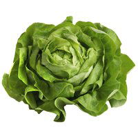 Organic Green Butter Lettuce, Local, 1 Each