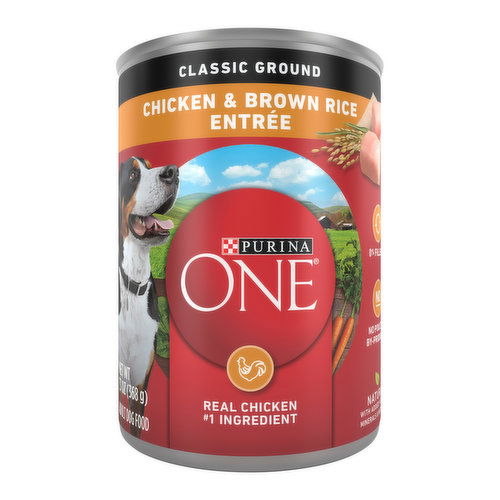 Purina ONE Classic Ground Chicken and Brown Rice Entree Adult Wet Dog Food