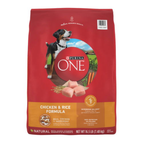 Purina ONE Chicken and Rice Formula Dry Dog Food