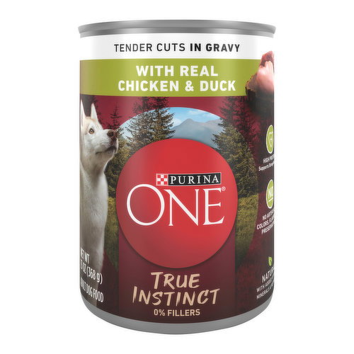 Purina ONE High Protein Wet Dog Food True Instinct Tender Cuts Gravy With Chicken and Duck
