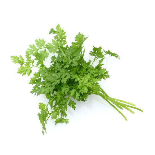 Local Chervil Herb Packet