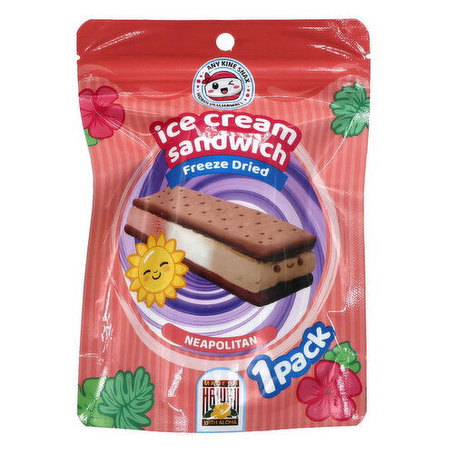 Any Kine Snax Freeze Dried Neapolitan Ice Cream Sandwich