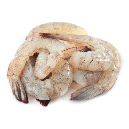 Tiger Shrimp, U/15 Count