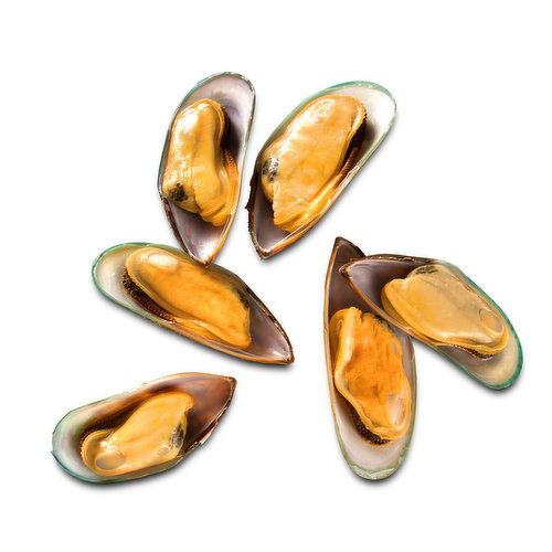 Mussel, Half Shell