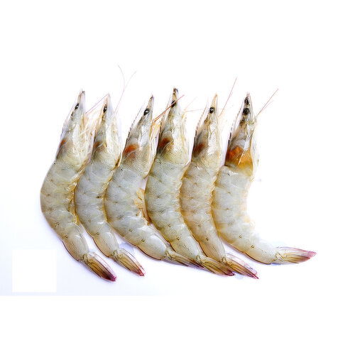 Shrimp, Raw, Head On, 50/60 Count