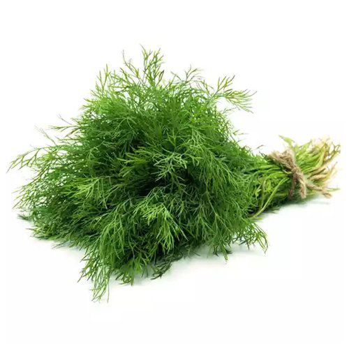 Dill, Local