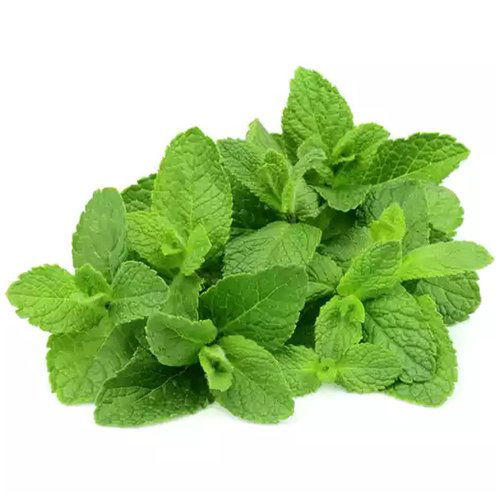 Locally Grown Mint