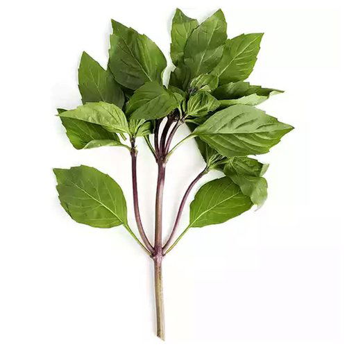 Thai Basil, Local