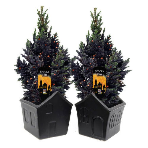 3" Glitter Euro Tree Black House